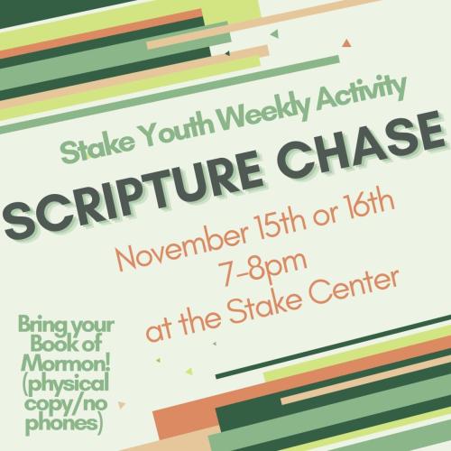 Stake-Weekly-Activity November-2022-